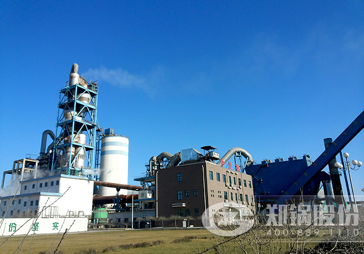 河北飛龍水泥廠大型低溫余熱發(fā)電鍋爐項目