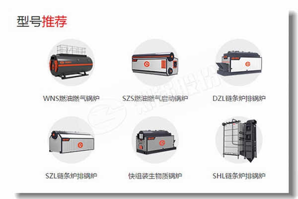 日喀則專業(yè)燃?xì)庹羝仩t供應(yīng)商哪家好？