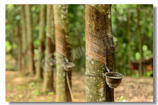 五噸燃煤鍋爐性能參數(shù)有哪些？